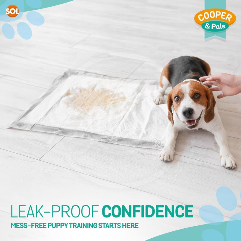 100 Pack Puppy Training Pads 60x45cm Super Absorbent Dog Pee Pads Leak Proof Odour Control Dog Toilet Mats-6