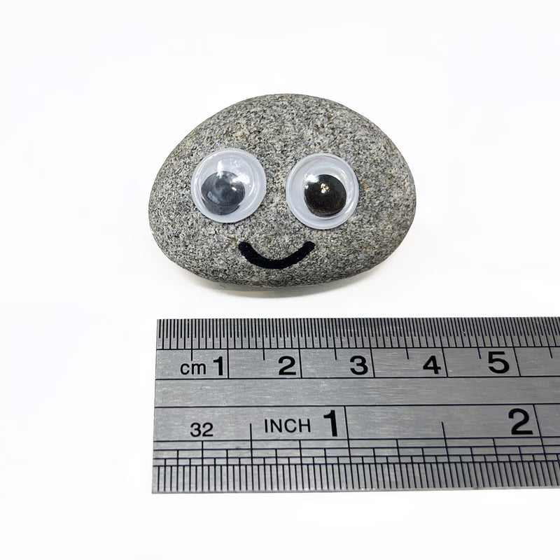 Pet Rock Novelty Gift – Funny Gag Present for Birthdays, Wedding Favours & Party Bags-6