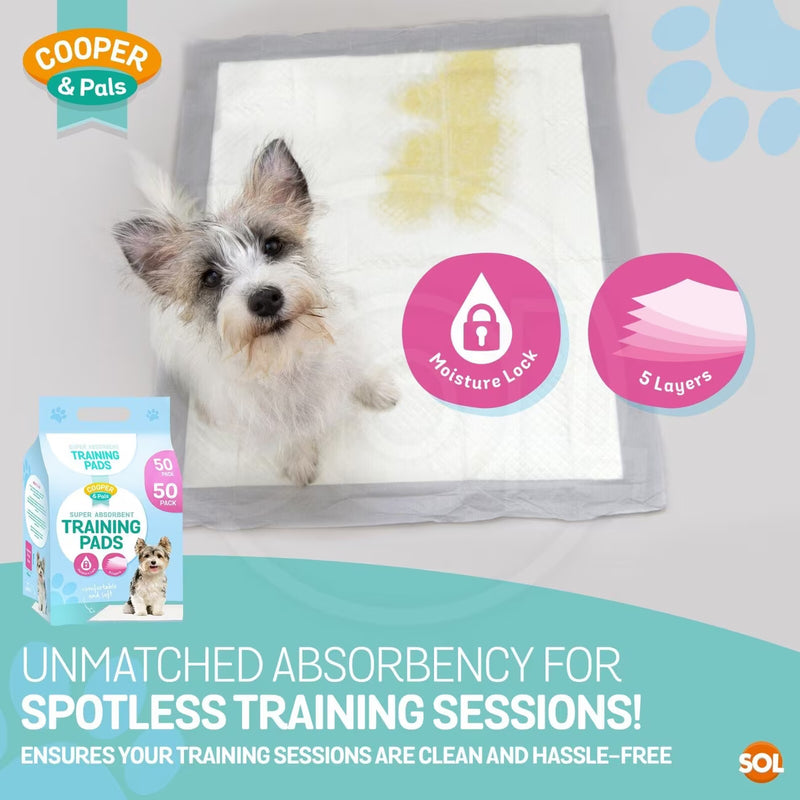 100 Pack Puppy Training Pads 60x45cm Super Absorbent Dog Pee Pads Leak Proof Odour Control Dog Toilet Mats-3
