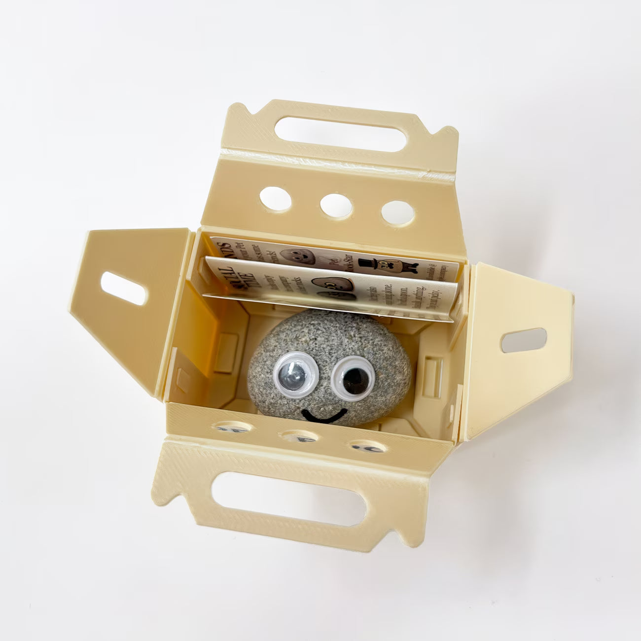 Pet Rock Novelty Gift – Funny Gag Present for Birthdays, Wedding Favours & Party Bags-7