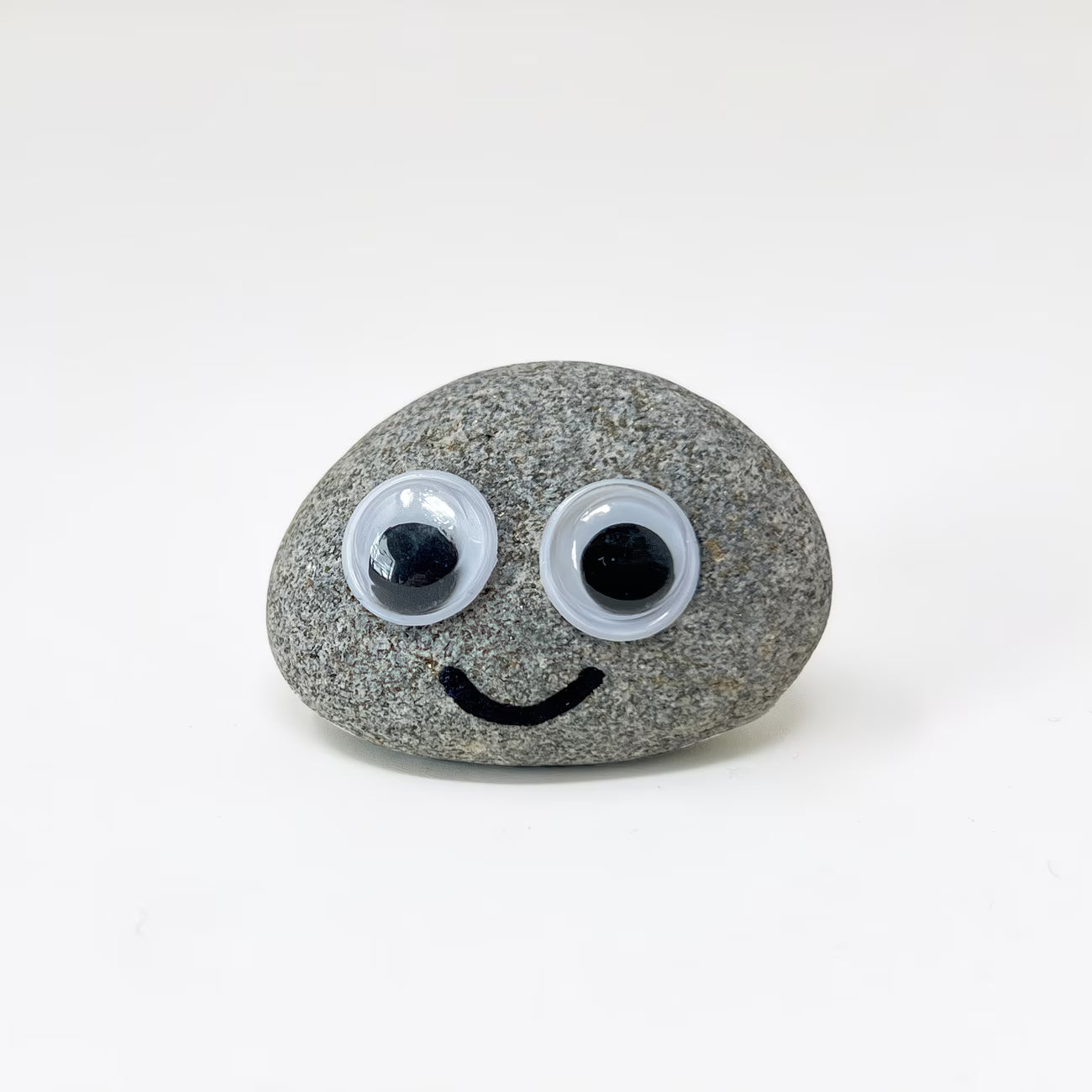 Pet Rock Novelty Gift – Funny Gag Present for Birthdays, Wedding Favours & Party Bags-3