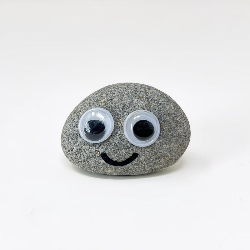Pet Rock Novelty Gift – Funny Gag Present for Birthdays, Wedding Favours & Party Bags-3